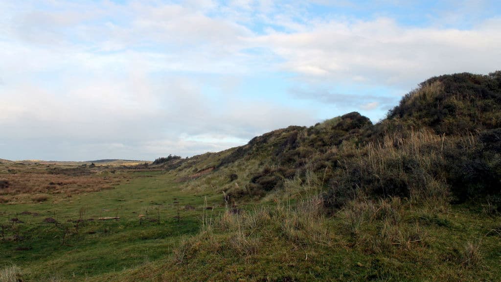 Lien - Stenalderkystskrænten